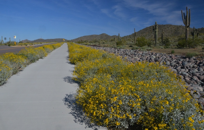 the bike path